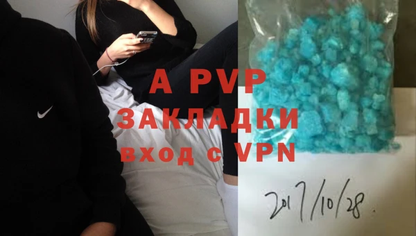 Альфа ПВП Белокуриха