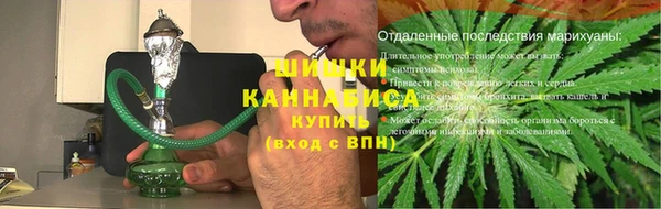 Альфа ПВП Белокуриха